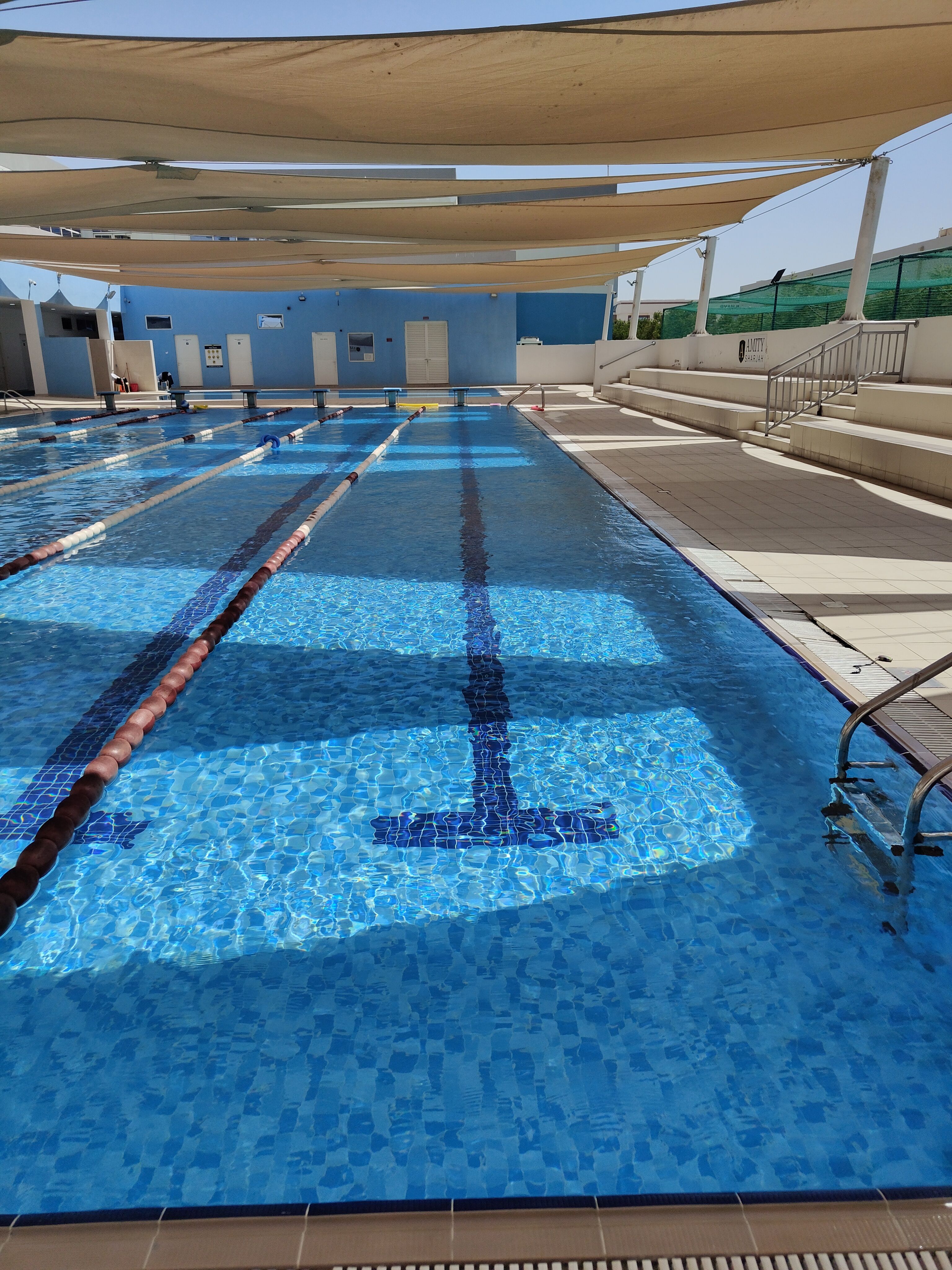 Sonnendurchflutetes Sportbecken mit Schwimmbahnen