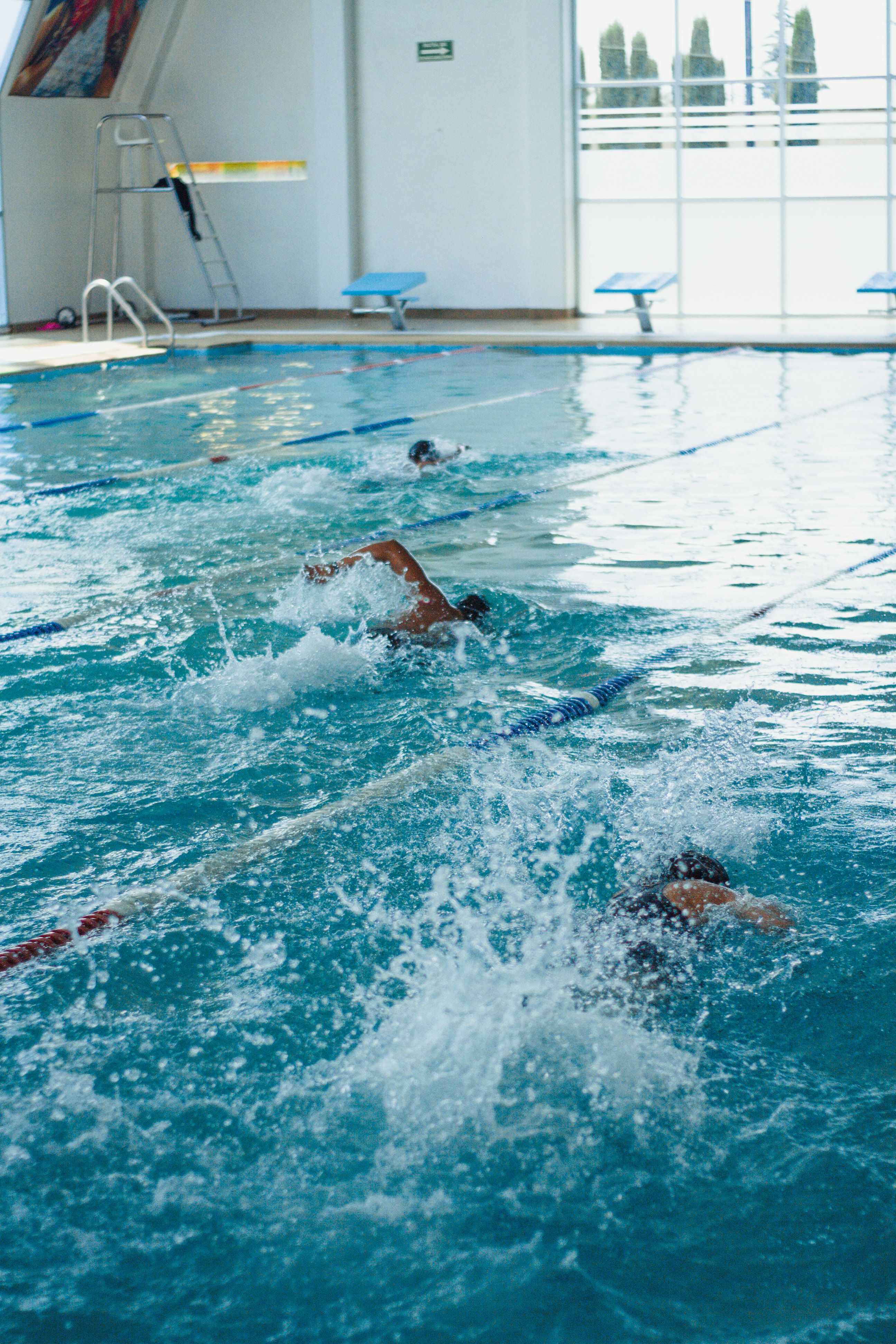 Schwimmer ziehen Bahnen im Sportbecken